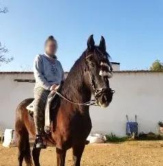 Fabienne, 31